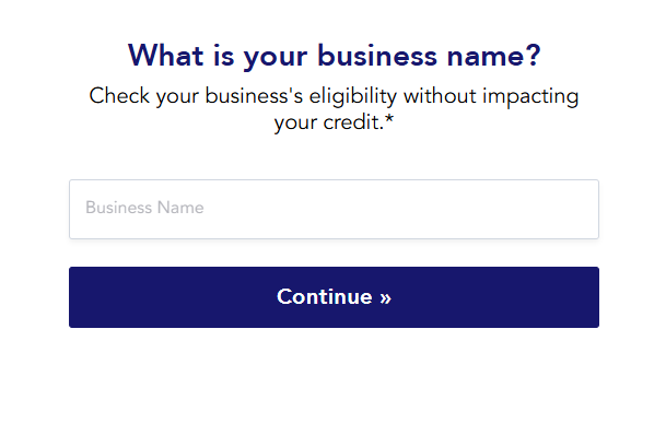 Basic Business Loan Form